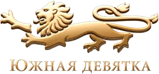 Южная девятка